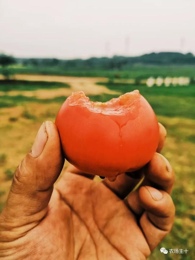 30Ķ50̤ʵũҵˣսõĻر