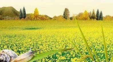 ҹũҵչĸ·ģ
