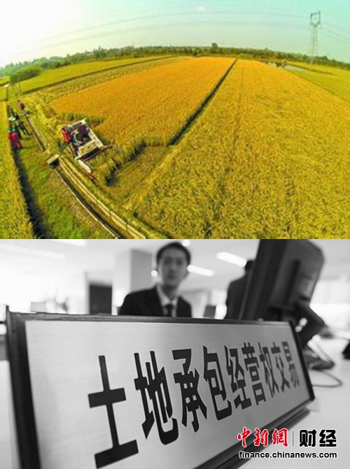 国务院发文规范农村产权交易土地承包权不得流转