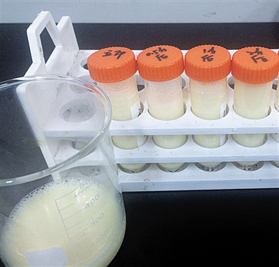 实验人员将豆浆取样,分别写上放置时间以备实验。新京报记者 李婷婷 摄