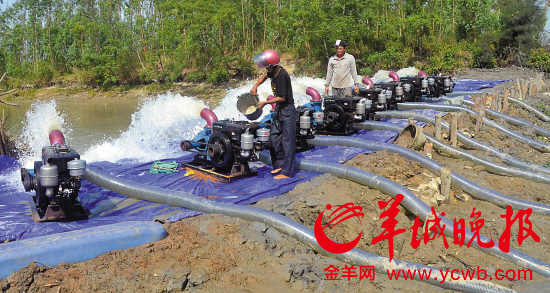 雷州市群众在日夜抽水抗旱