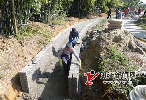 双捷镇高标准兴修农田水利